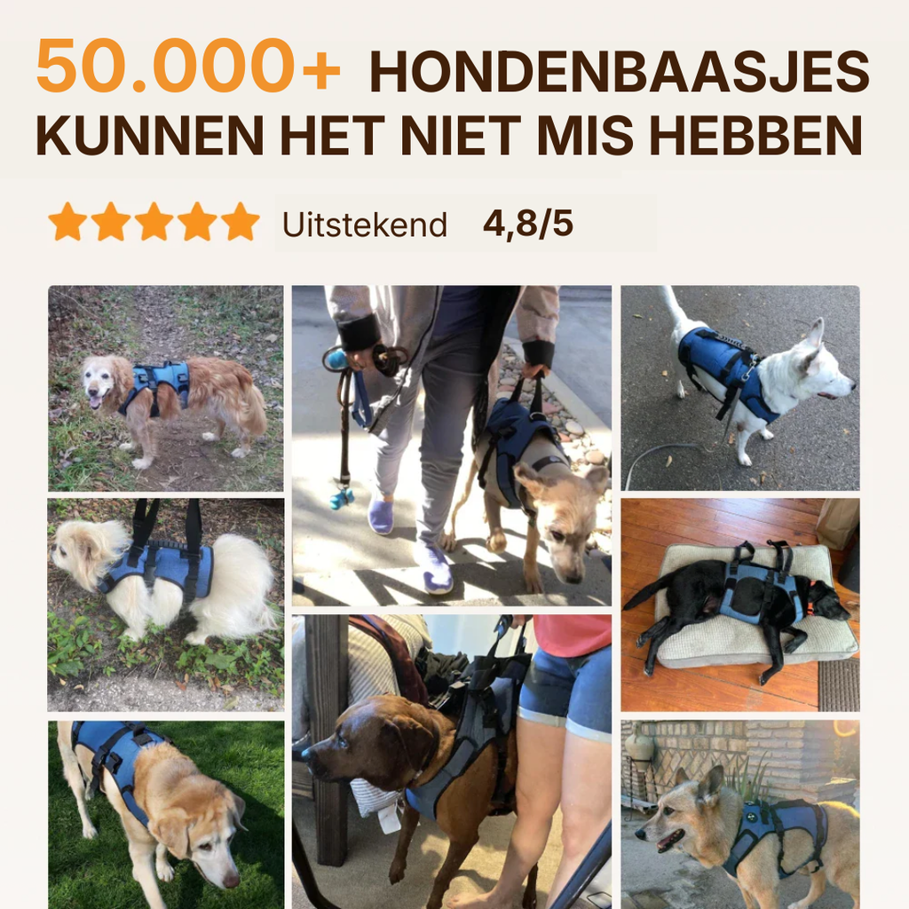 Mobiliteitsharnas