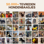Hondenfluitje