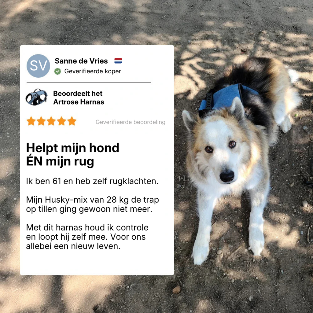 Mobiliteitsharnas