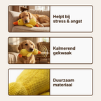 Anti-Stress-Eend