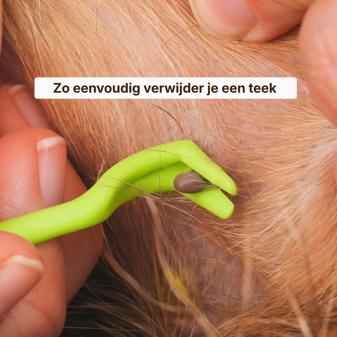 Tekenhaken 3-delige set