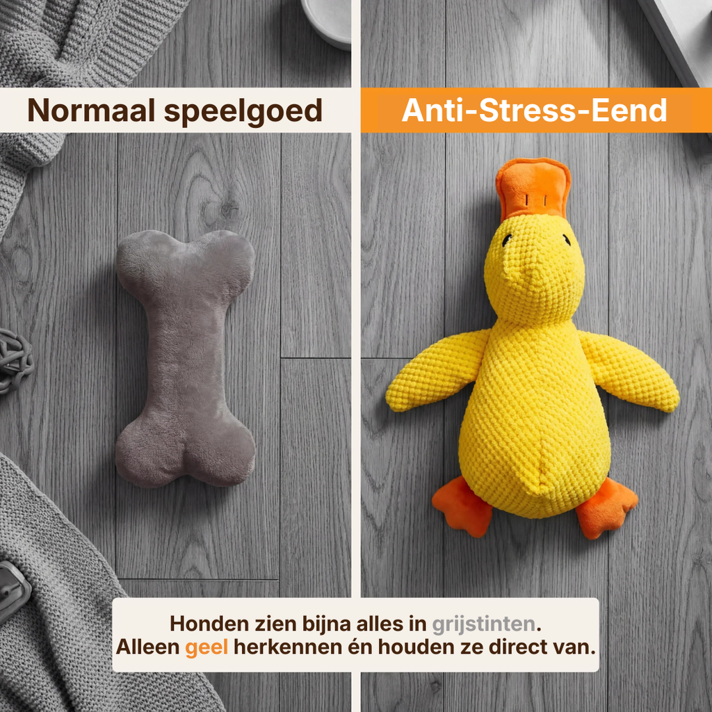 Anti-Stress-Eend