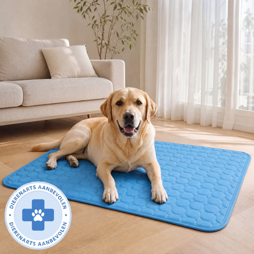 Woofstark Koelmat (1+1 GRATIS)