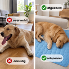 Woofstark Koelmat (1+1 GRATIS)