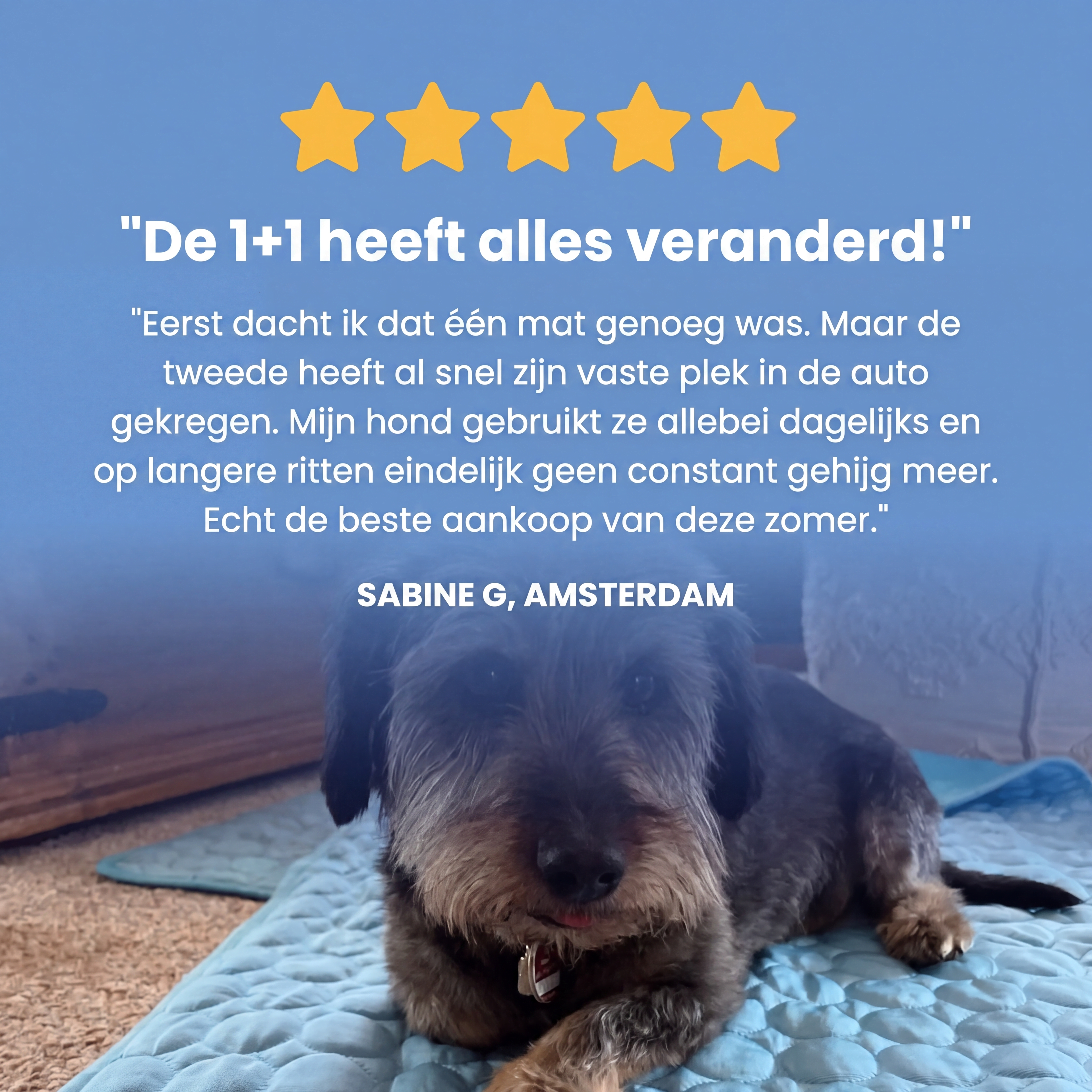 Woofstark Koelmat (1+1 GRATIS)