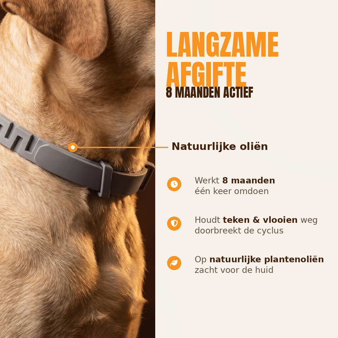 Anti-Teek en Vlooienhalsband | 8 Maanden Bescherming (1+1 GRATIS)