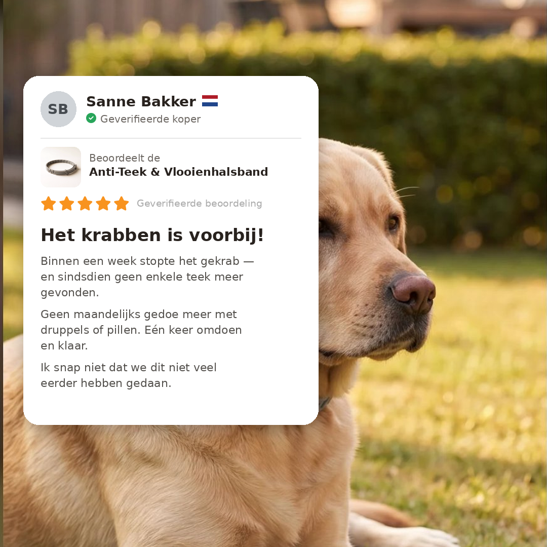 Anti-Teek en Vlooienhalsband | 8 Maanden Bescherming (1+1 GRATIS)